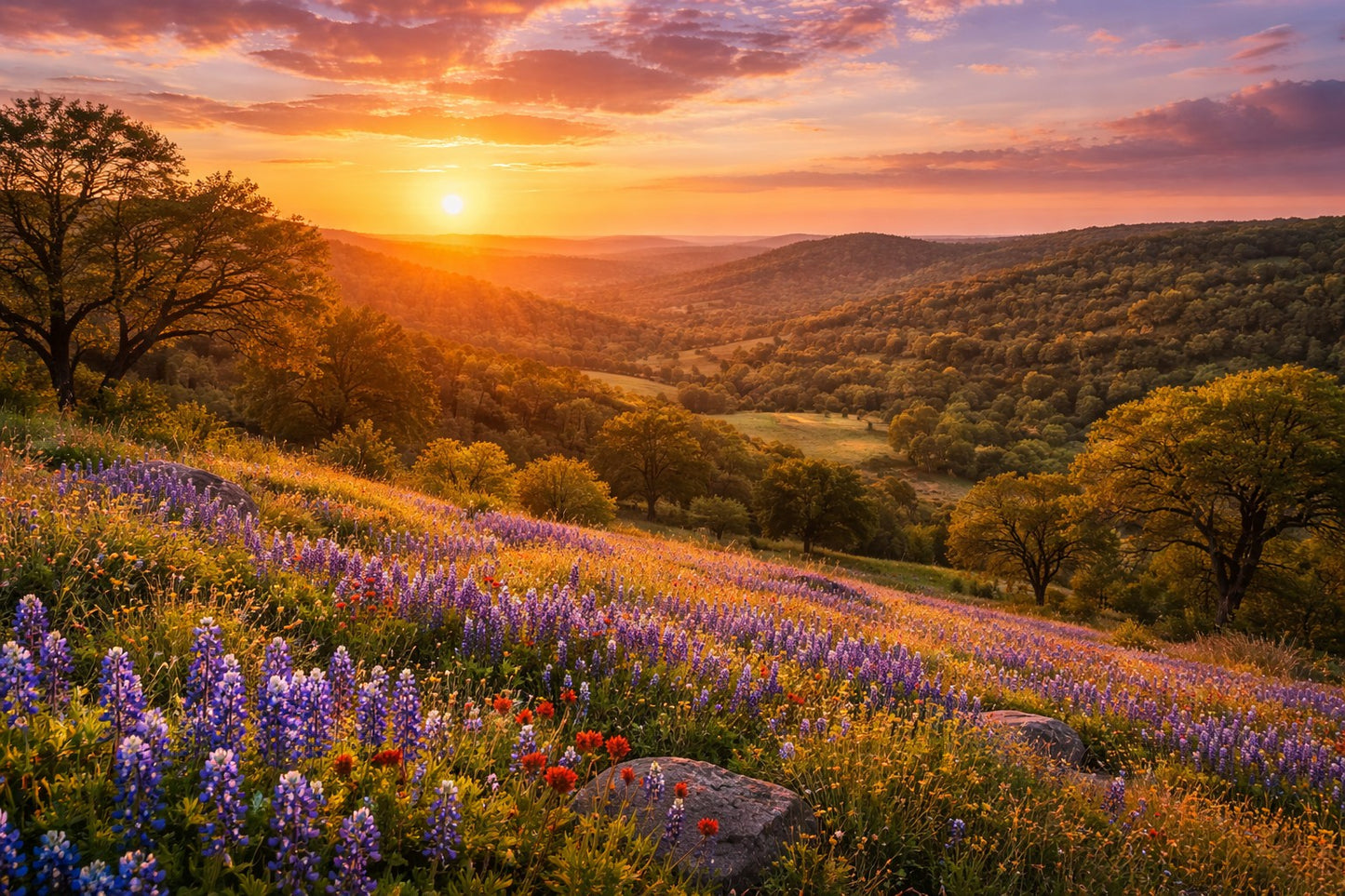 Hill Country Sunset