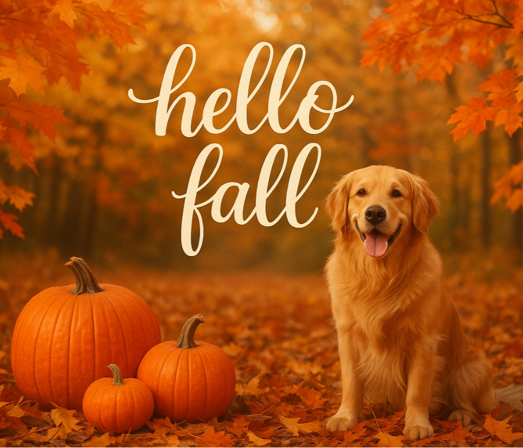 hello fall wording with fall background and dog